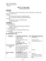 Giáo án Mĩ thuật 8 - Tiết 19, Bài 19: Vẽ theo mẫu Vẽ chân dung bạn - Năm học 2009-2010