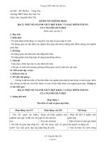 Giáo án môn Sinh vật 7 bài 12: Một số ngành giun dẹp khác và đặc điểm chung của ngành giun dẹp