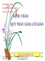 Bài giảng Đại số 8 tuần 1, tiết 2, bài 2: Nhân đơn thức với đa thức