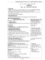 Giáo án Chính tả 3 tuần 29 - Trần Thị Việt Thu - Trường Tiểu học Cổ Tiết