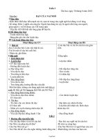 Giáo án Mĩ thuật 6 - Tiết 8 và 9 - Năm học 2009-2010