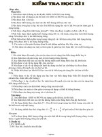 Giáo án Môn Vật lí 6 - Kiểm tra học kì I