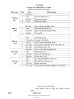 Giáo án dạy Lớp 3 Tuần 10 (79)