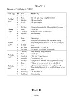 Giáo án giảng dạy Tuần 11 Khối 3