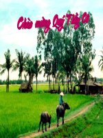 Bài giảng Tập đọc - TIết: Bàn tay dịu dàng