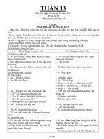 Giáo án tổng hợp lớp 3 - Tuần thứ 13 năm 2011