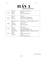 Giáo án các môn học khối lớp 2 - Tuần dạy số 3 - Nguyễn Thị Nguyệt