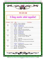 Giáo án lớp 3 - Tuần 20 - Trường tiểu học Hoài Phú