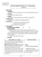 Giáo án Công nghệ Khối 6 - Tiết 28: Trang trí nhà ở bằng cây cảnh và hoa (Tiếp theo)