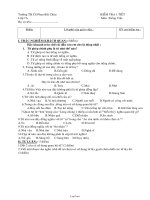 Bài giảng môn học Ngữ văn lớp 7 - Kiểm tra 1 tiết (Tiếp theo)