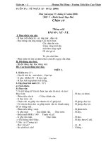 Giáo án Tiếng Việt lớp 1 - Bùi Thị Ngọc – Tiểu học Quán Toan - Tuần 17, 18