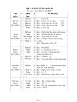 Giáo án Tổng hợp môn học lớp 2 - Tuần số 10 năm 2007