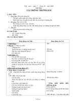 Giáo án Tập đọc 2 tuần 5 tiết 4: Cái trống trường em