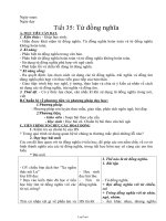 Bài giảng môn học Ngữ văn lớp 7 - Tiết 35: Từ đồng nghĩa