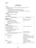 Giáo án giảng dạy Tuần 7 Lớp 2