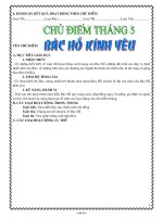 Giáo án môn Hoạt động ngoài giờ lên lớp 6 - Chủ điểm của tháng 5: Bác Hồ kính yêu