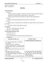 Giáo án Lịch sử 9 - Tiết 11: Nhật Bản - Nguyễn Văn Vui - Năm học 2012-2013