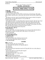 Giáo án Lớp 3 Tuần 12 - Trường Tiểu học Thanh Bình