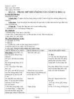 Giáo án Công nghệ 6 - Tiết 27, Bài 12: Trang trí nhà ở bằng cây cảnh và hoa (Tiếp theo) - Năm học 2007-2008