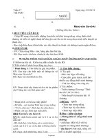 Giáo án Đại số 8: Ôn tập ngoài chương trình (tiết 2)