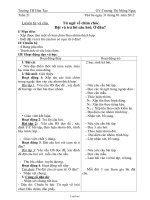 Giáo án Luyện từ và câu tuần 21: Từ ngữ về chim chóc, Đặt và trả lời câu hỏi: Ở đâu?