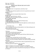 Giáo án Ngữ văn 8 - Tiết 105-106: Viết bài tập làm văn số 6 - Năm học 2010-2011