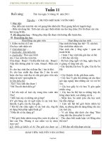 Giáo án lớp 3 - Tuần 11 - Trường Tiểu học Bùi Thị Xuân