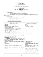 Giáo án Lớp 3 HK I - Tuần 16