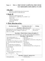 Giáo án môn Lí lớp 6 - Tuần 13 - Tiết 13 : Thực hành và kiểm tra thực hành xác định khối lượng riêng của sỏi