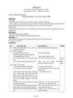 Giáo án tổng hợp Tuần học 13 - Lớp 3 năm học 2011