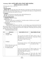 Giáo án Ngữ văn lớp 7 tiết 21: Buổi chiều đứng ở phủ thiên trường trông ra bài ca Côn Sơn