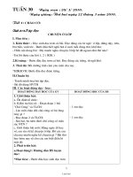 Giáo án Luyện từ và câu Lớp 2 - Tuần 35: Ôn tập và kiểm tra Tiết 6 - Phạm Thị Ninh