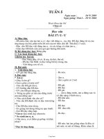 Giáo án Lớp 1 - Tuần 5 - Năm học 2010-2011