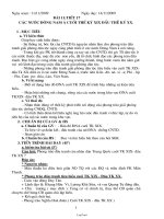 Giáo án Lịch sử 8 tuần 9