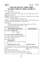 Giáo án môn Ngữ văn 6 - Tiết 21: Luyện tập quan sát, tưởng tượng, so sánh và nhận xét trong văn miêu tả