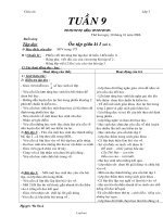 Giáo án Lớp 3 - Tuần 9 - Năm học 2006-2007 - Nguyễn Thị Hạnh