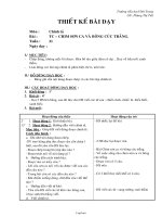 Bài dạy Chính tả 2: Chim sơn ca và bông cúc trắng