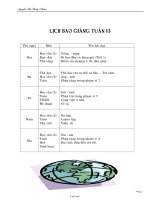 Giáo án giảng dạy khối 1 - Tuần 13 - Nguyễn Thị Thuỳ Nhiên