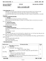 Giáo án Hoạt động ngoài giờ lên lớp 8 - THCH Cát Nhơn