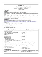 Giáo án lớp 3 Tuần học số 23 - Năm học 2013