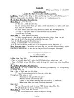 Thiết kế bài dạy lớp 2 - Tuần 16 năm học 2010