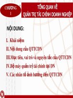 Bài giảng Quản trị tài chính doanh nghiệp: Chương 1 - Nguyễn Thị Oanh