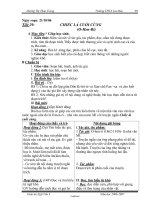 Giáo án Ngữ văn 8 - Tiết 29: Chiếc lá cuối cùng - Năm học 2006-2007 - Dương Thị Thảo Trang