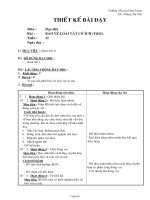 Bài dạy Đạo đức 2 tiết 31: Bảo vệ loài vật có ích (tiết 2)