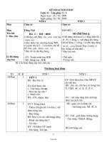 Giáo án Ghép Lớp 1 + 3 Tuần 11 - GV: Hoàng Thị Bạch