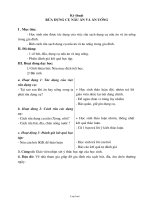 Giáo án môn Kĩ thuật khối 5