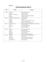 Giáo án Tiếng việt Lớp 3 - Tuần 17 - Năm học 2004-2005 - Trường Tiểu học Hanh Thông