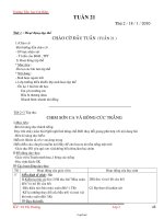 Giáo án các môn học lớp 2 - Trường Tiểu Học Cát Hiệp - Tuần thứ 21