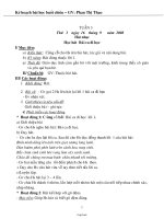 Giáo án lớp 3 - Tuần 3 - GV: Phan Thị Thảo