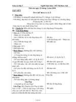 Giáo án Tập viết Lớp 3 - Tuần 21 - Đỗ Thị Kim Anh